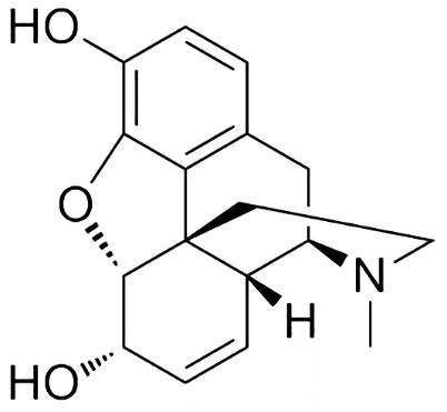 The structure of morphine